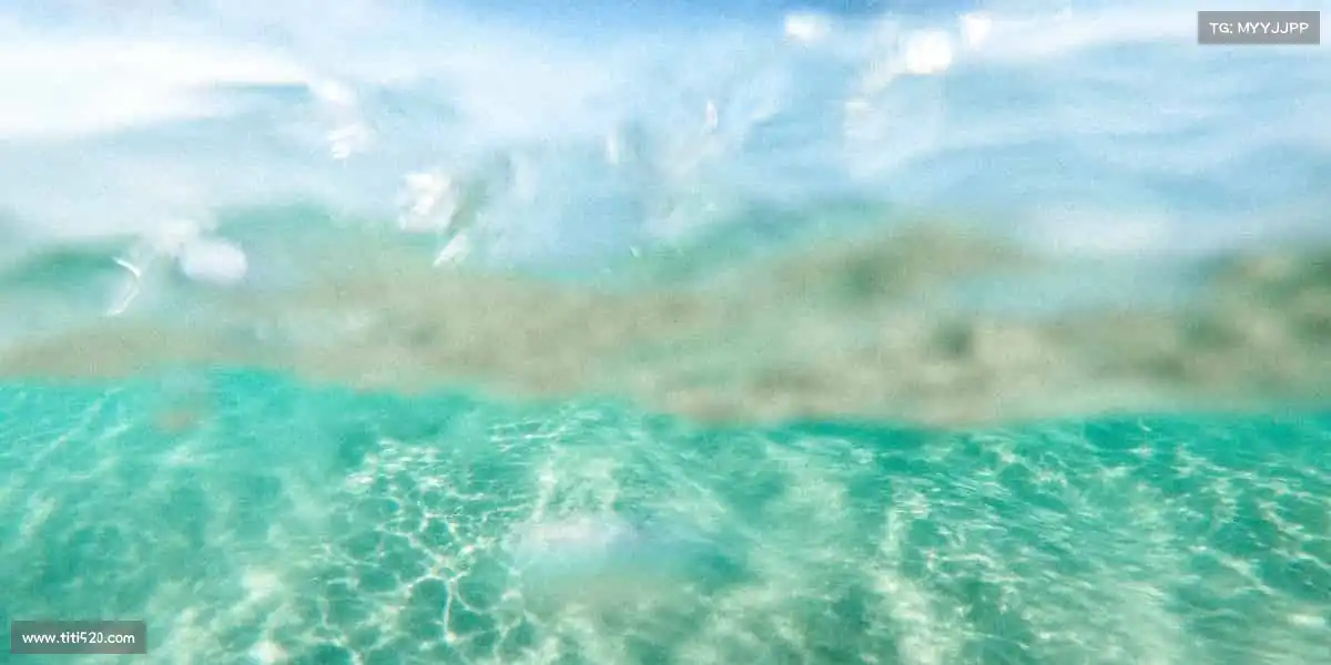 狗万·(中国区)有限公司官网🥅守卫球门,用信念筑起不可破的防线!